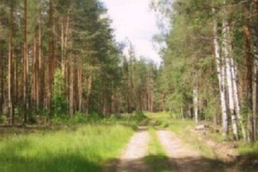 Охота в Кировской области